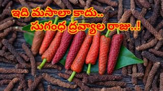 Diwali Dreams: దీపావళికి ముందు మీకు ఇలాంటి కలలు వస్తున్నాయా.? అయితే మీరు పట్టిందల్లా బంగారమే