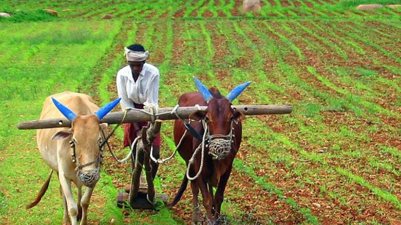  PM Kisan scheme: రైతుల కోసం కేంద్ర ప్రభుత్వం ప్రవేశపెట్టిన పథకాల్లో పీఎం కిసాన్‌ స్కీమ్‌ ఒకటి. రైతులను ఆర్థికంగా ఆదుకునేందుకు పీఎం కిసాన్‌ పథకాన్ని తీసుకువచ్చింది కేంద్రం. అయితే ఇప్పటి వరకు రైతులకు 20వ విడత పీఎం కిసాన్‌ డబ్బలను అందిజేసింది. ఇప్పుడు 21వ విడత రావాల్సి ఉంది. ఈ విడత డబ్బులు ఎప్పుడు వస్తాయా? అని ఎదరు చూస్తున్నారు రైతులు. రైతులకు వ్యవసాయంలో సహాయం అందించడానికి ప్రభుత్వం సంవత్సరానికి మూడు సార్లు రూ. 2,000 ఉచితంగా సహాయం అందిస్తుంది. సంవత్సరానికి రూ. 6,000 విడుదల చేస్తుంది.