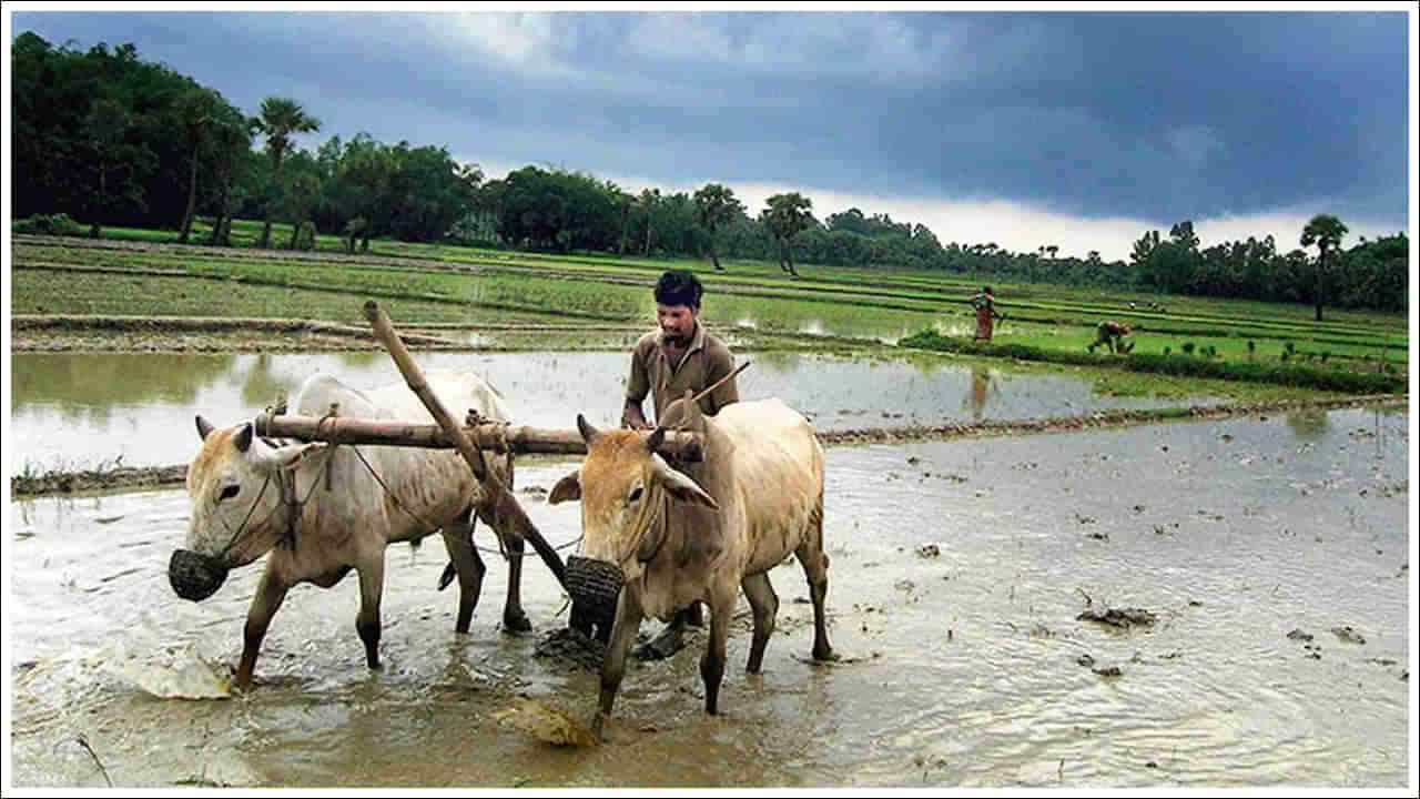 PM Kisan: 21వ విడతకు ముందు ఈ 3 పనులు చేయనట్లయితే మీకు రూ.2000 రావు!