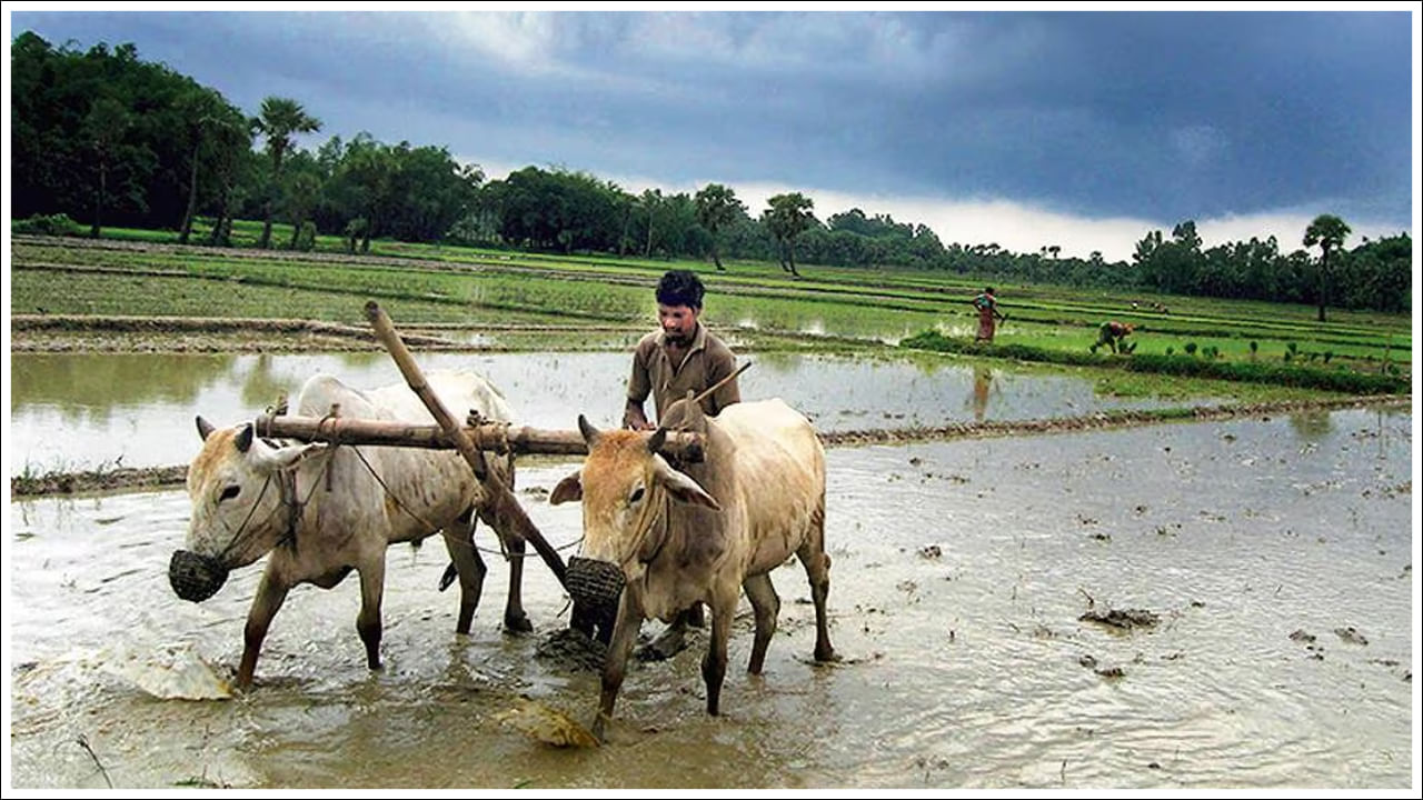 PM Kisan: 21వ విడతకు ముందు ఈ 3 పనులు చేయనట్లయితే మీకు రూ.2000 రావు!