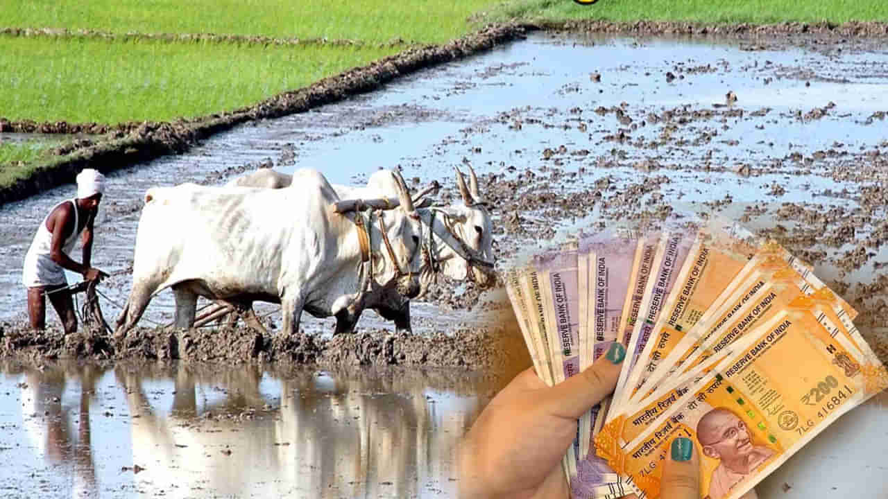 PM Kisan: ఈ రైతులకు పీఎం కిసాన్‌ డబ్బులు రాకపోవచ్చు.. ఎందుకో తెలుసా?