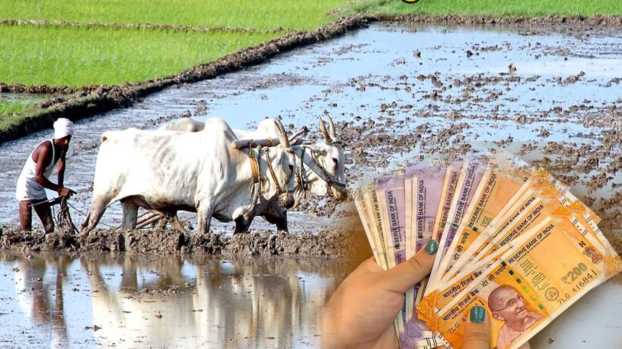 PM Kisan: ఈ రైతులకు పీఎం కిసాన్‌ డబ్బులు రాకపోవచ్చు.. ఎందుకో తెలుసా?