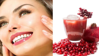 Spider Facts: ఇంట్లో ఏ మూల చూసినా ఈ కీటకాలే ఉన్నాయా?.. కారణం మీరే కావచ్చు