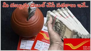 చీరలో అందంగా.. చిన్న వయసులోనే జైలుకి వెళ్లిన ఈ బ్యూటీ గురించి తెలుసా?