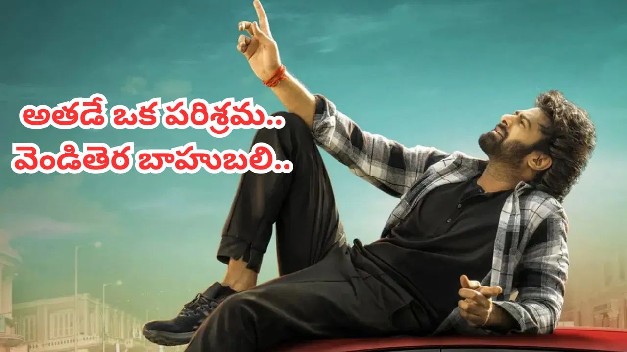 Prabhas: బాక్సాఫీస్ కింగ్.. కేవలం 7 సినిమాలతో రూ.5300 కోట్లకు పైగా కలెక్షన్స్ .. ప్రభాస్ బర్త్ డే స్పెషల్..