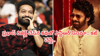 Prabhas- Jr NTR: ప్రభాస్ రిజెక్ట్ చేసిన సినిమాతో బ్లాక్ బస్టర్ కొట్టిన ఎన్టీఆర్.. ఏ మూవీనో తెలిస్తే షాకవుతారు