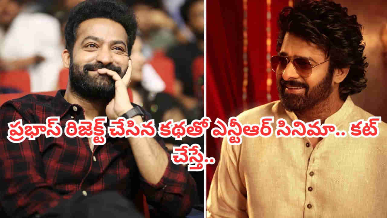 Prabhas- Jr NTR: ప్రభాస్ రిజెక్ట్ చేసిన సినిమాతో బ్లాక్ బస్టర్ కొట్టిన ఎన్టీఆర్.. ఏ మూవీనో తెలిస్తే షాకవుతారు