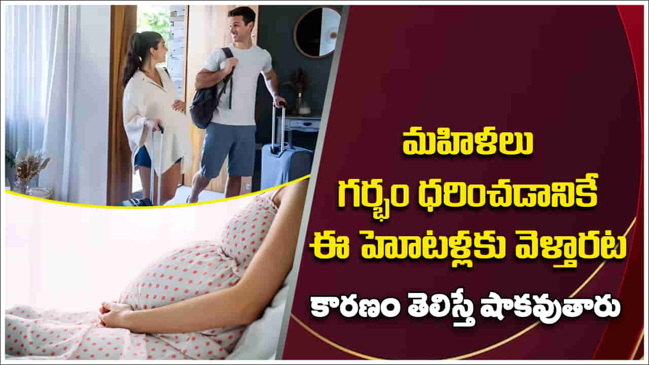 Pregnant: చాలా మంది మహిళలు ఆ 23 హోటళ్లకు గర్భం ధరించడానికే వెళ్తారట.. కారణం తెలిస్తే షాకవుతారు!