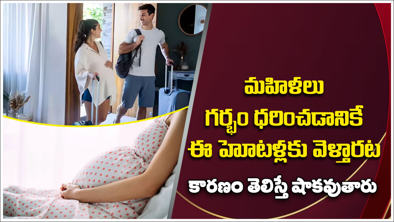 Pregnant: చాలా మంది మహిళలు ఆ 23 హోటళ్లకు గర్భం ధరించడానికే వెళ్తారట.. కారణం తెలిస్తే షాకవుతారు!