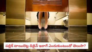 Airplane windows: విమానం కిటికీలు గుండ్రంగానే ఎందుకు ఉంటాయి? అసలు కారణం ఇదే!