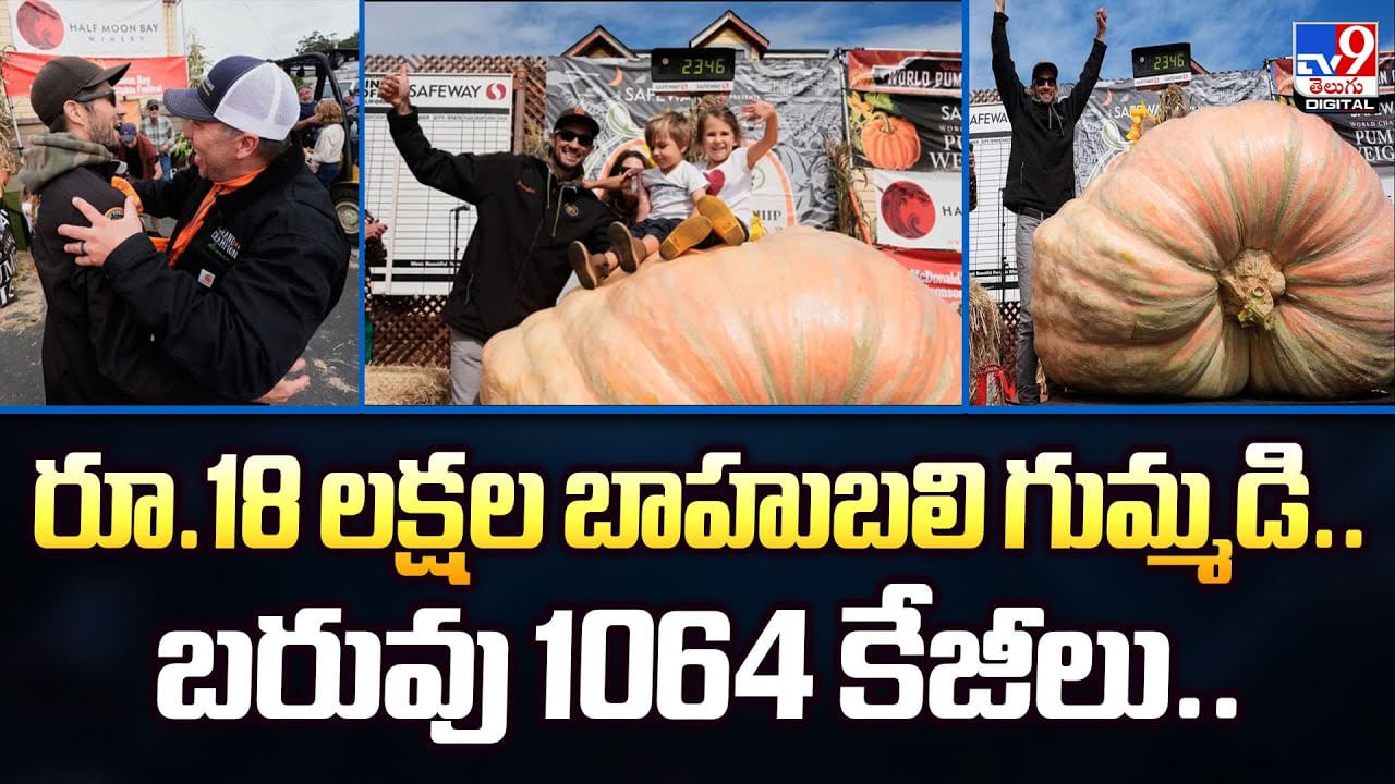 రూ.18 లక్షల బాహుబలి గుమ్మడి.. బరువు 1064 కేజీలు – Telugu News | Giant Pumpkin World Record: Engineer Wins 20K dollars with 1064kg Gourd in California video TV9D – Viral Videos in Telugu