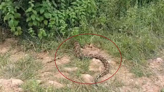 Andhra: జగన్, పవన్, చిరు, జూనియర్ ఎన్టీఆర్ ఓకే.. పరిటాల రవి గారు ఎలా వచ్చారు భయ్యా..?