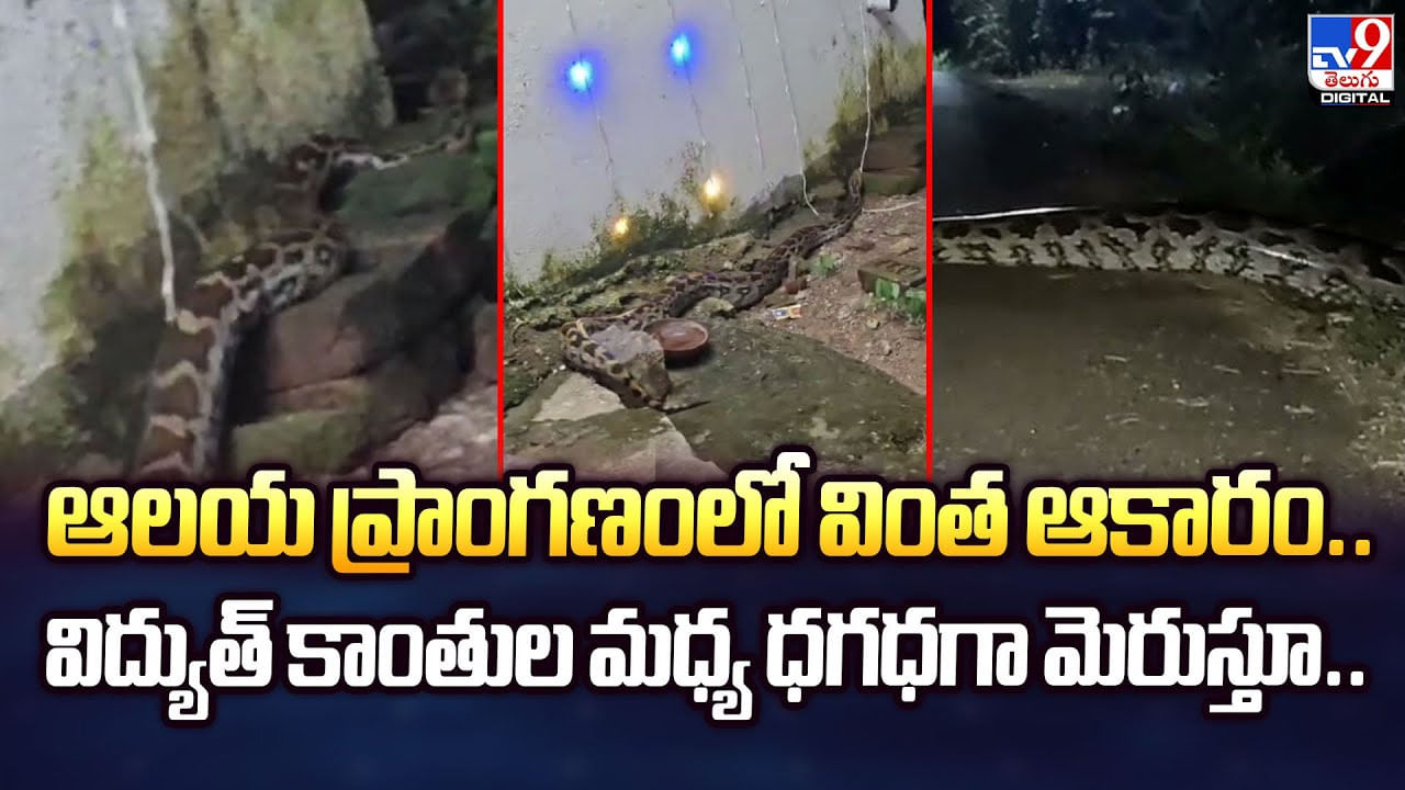 ఆలయ ప్రాంగణంలో వింత ఆకారం.. విద్యుత్ కాంతుల మధ్య ధగధగా మెరుస్తూ ఆలయ ప్రాంగణంలో వింత ఆకారం.. విద్యుత్ కాంతుల మధ్య ధగధగా మెరుస్తూ