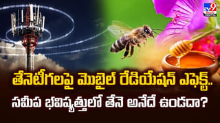 అతిగా స్మార్ట్‌ఫోన్ చూస్తే.. అంతే సంగతులు