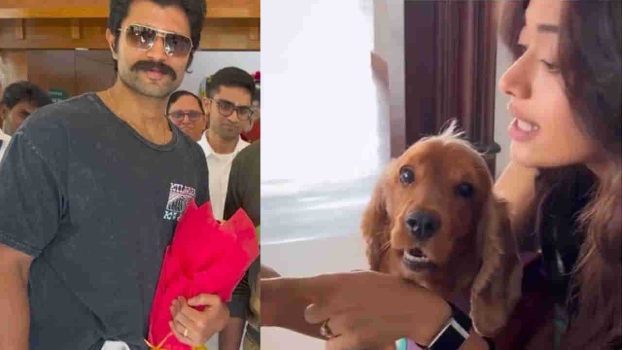 Vijay Deverakonda- Rashmika: మొన్న విజయ్.. నేడు రష్మిక.. ఎంగేజ్మెంట్‌ రింగ్స్‌తో లవ్ బర్డ్స్.. వీడియో ఇదిగో