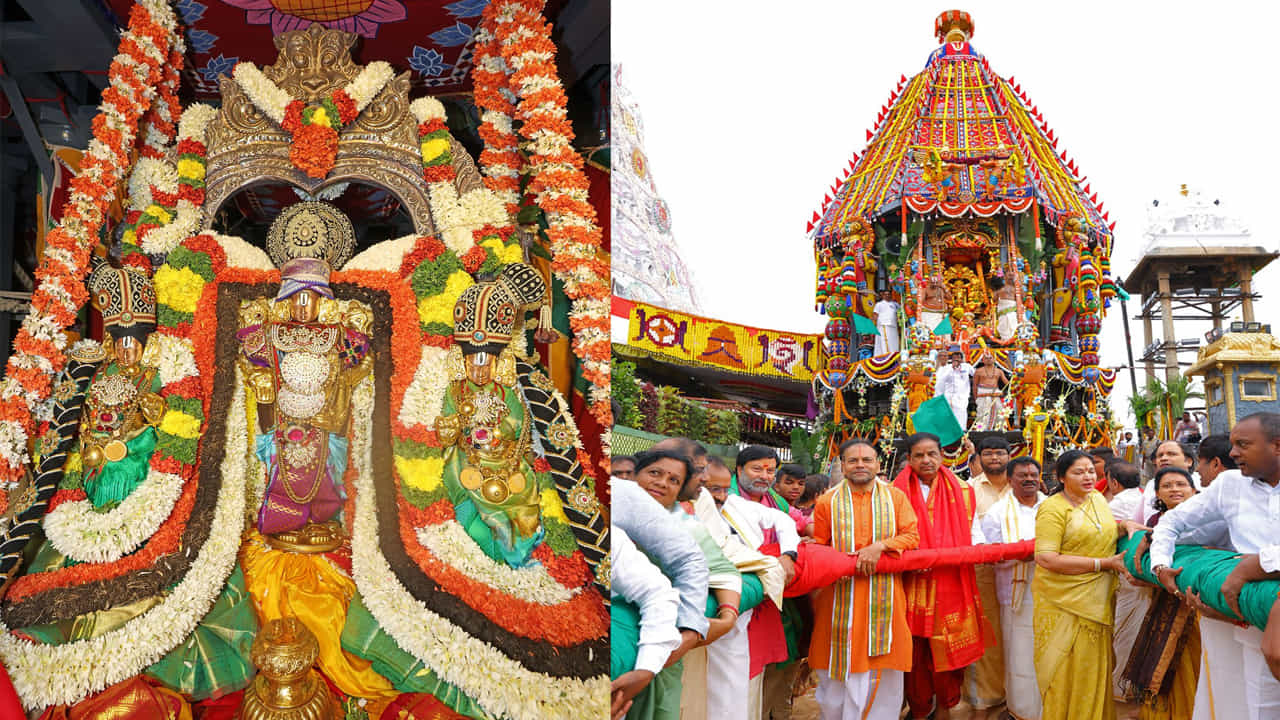 తిరుమల శ్రీవారి సాలకట్ల బ్రహ్మోత్సవాలలో ఎనిమిదో రోజైన బుధవారం ఉదయం 7 నుండి 9 గంటల వరకు ఉభయదేవేరులతో కూడిన శ్రీమలయప్పస్వామివారి రథోత్సవం అంగరంగ వైభవంగా జరిగింది. ఈ రథోత్సవంలో భారీ సంఖ్యలో భక్తులు పాల్గొన్నారు. స్వామివారి రథాన్ని లాగారు.