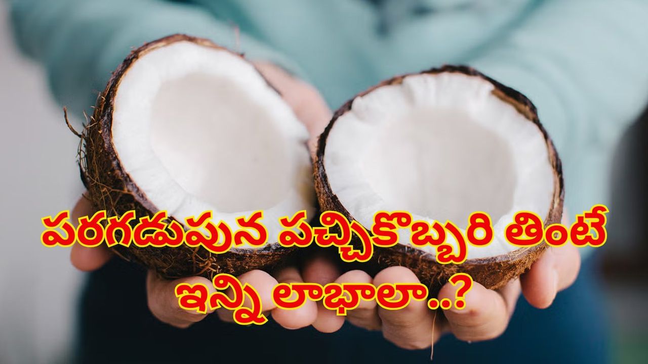 Coconut : ప్రతిరోజూ పరగడుపున పచ్చికొబ్బరి తింటే ఇన్ని లాభాలా..? ఆరోగ్యప్రయోజనాలు తెలిస్తే...