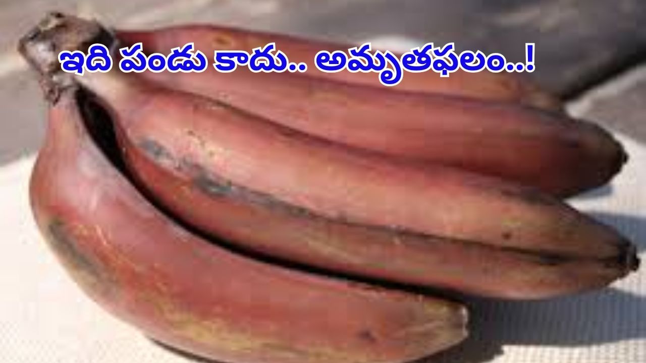 Red Banana Health Benefits: ఇది పండు కాదు.. అమృతఫలం..! ఆరోగ్య ప్రయోజనాలు తెలిస్తే అస్సలు విడిచిపెట్టరు..