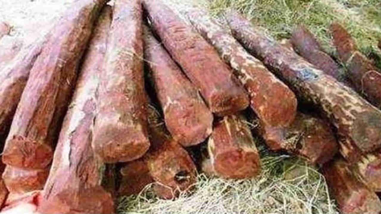 తిరుపతి నుంచి ఎర్రచందనం స్మగ్లింగ్‌.. ఢిల్లీలో పట్టుకున్న పోలీసులు!