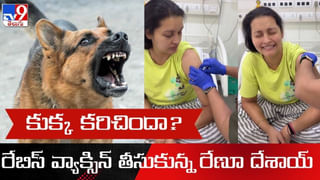 Tollywood: యాక్సెంచర్‌లో సాఫ్ట్‌వేర్ ఇంజినీర్.. ఇప్పుడేమో టాలీవుడ్ క్రేజీ హీరోయిన్.. ఎవరో గుర్తు పట్టారా?