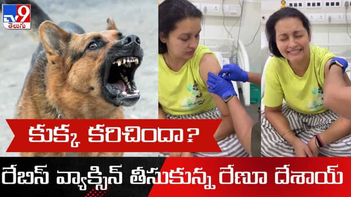 కుక్క కరిచిందా? రేబిస్ వ్యాక్సిన్ తీసుకున్న రేణూ దేశాయ్ కుక్క కరిచిందా? రేబిస్ వ్యాక్సిన్ తీసుకున్న రేణూ దేశాయ్