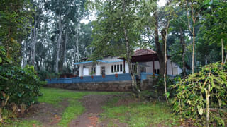 Watch Video: అయ్యో పాపం.. దారి తప్పి వచ్చిన చిరుత.. గ్రామస్తులంతా కలిసి ఏం చేశారో చూడండి..