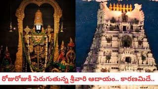 End Of 2025: బ్రహ్మంగారు Vs. యురోపియన్ భవిష్య వాణి.. 2025 చివర్లో ఏం జరగనుంది?