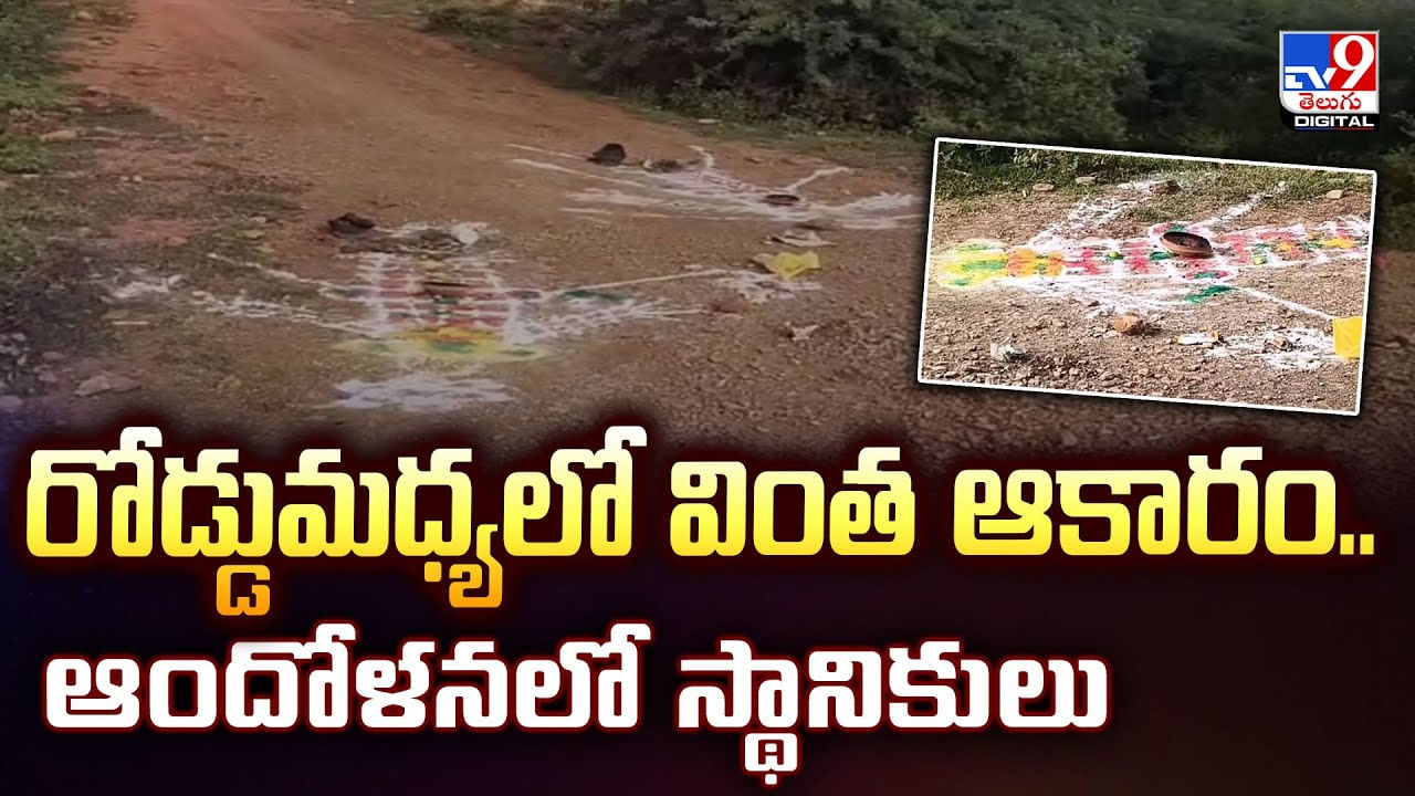 రోడ్డుమధ్యలో వింత ఆకారం..ఆందోళనలో స్థానికులు వీడియో