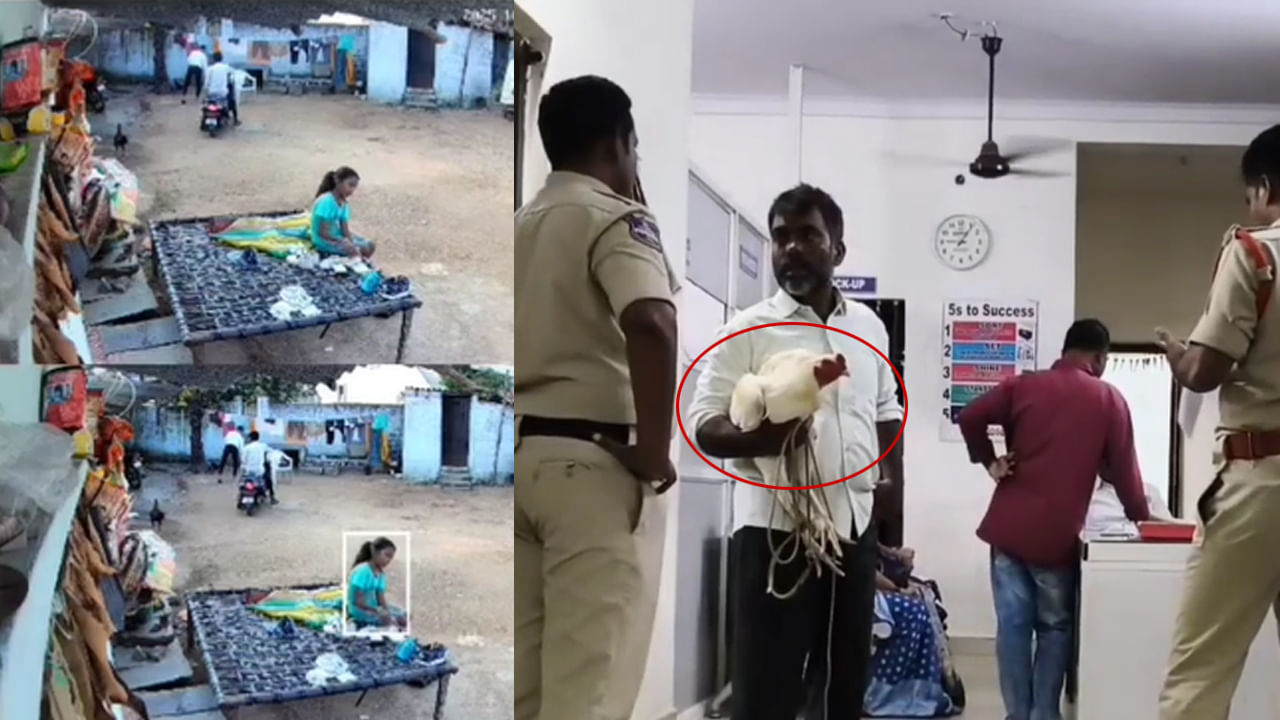 Telangana: సారు... నా కోడి పోయింది అంటూ పోలీస్ స్టేషన్లో వ్యక్తి ఫిర్యాదు.. చివర్లో ట్విస్ట్ ఏంటంటే..?