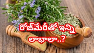 బీకేర్‌ఫుల్‌.. గుడ్డు మంచిదని తెగ తింటున్నారా..? అదే మీకు విషంగా మారొచ్చు.. !