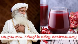 Veg Curry: పూరి, చపాతీకి సైడ్ డిష్ ఏం వండాలో తెలియట్లేదా?.. ఈ సీక్రెట్ రెసిపీ ట్రై చేయండి