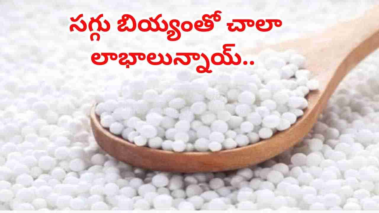 Health Tips: సగ్గు బియ్యం ప్రయోజనాలు తెలిస్తే.. ఎగబడి తింటారు..!
