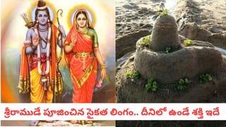 Vastu Tips: పడకగదిలో నిద్రపట్టట్లేదా?.. ఈ 5 సంకేతాలు కనిపిస్తే మీరు ప్రమాదంలో ఉన్నట్టే!
