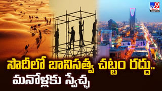 పింక్ పాంథర్స్.. ఒక్కసారి కమిటైతే..