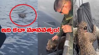 Video: రన్నింగ్‌ ట్రైన్‌ ఎక్కే ప్రయత్నం.. దేవుడిలా వచ్చిన RPF కానిస్టేబుల్! కాస్త తేడా జరిగినా..