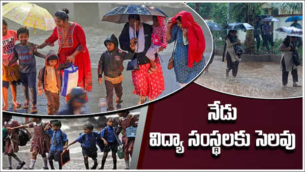 School Holiday: నేడు తెలంగాణలోని ఆ జిల్లాలో పాఠశాలలకు సెలవు.. కలెక్టర్ ఉత్తర్వులు!