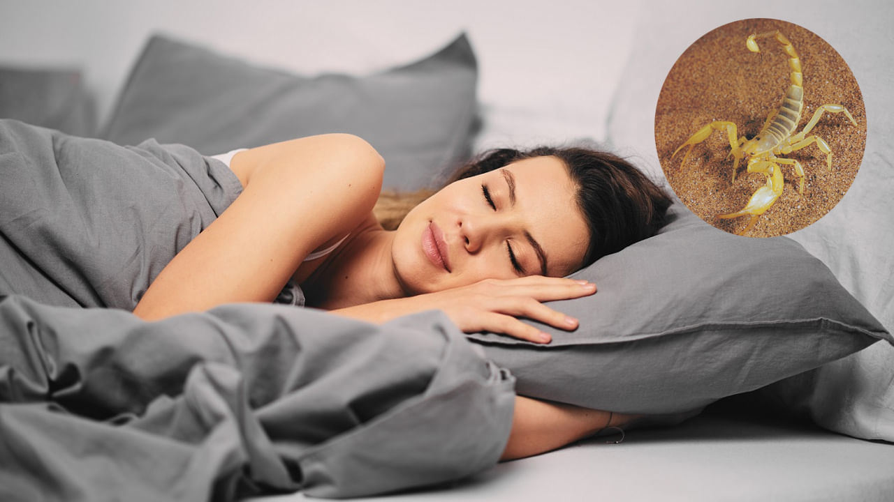 స్వప్న శాస్త్రం ప్రకారం.. తేలు కలలో కనిపించడం వల్ల మనకు సమస్యలు ఎదురవుతాయని అర్థం చేసుకోవచ్చు. కానీ వాటి నుంచి మీరు తప్పించుకుని విజయం సాధిస్తారని దీని అర్థం. అందుకే ముందుగానే జాగ్రత్త పడితే సమస్యలు దరిచేరకపోవచ్చు. 