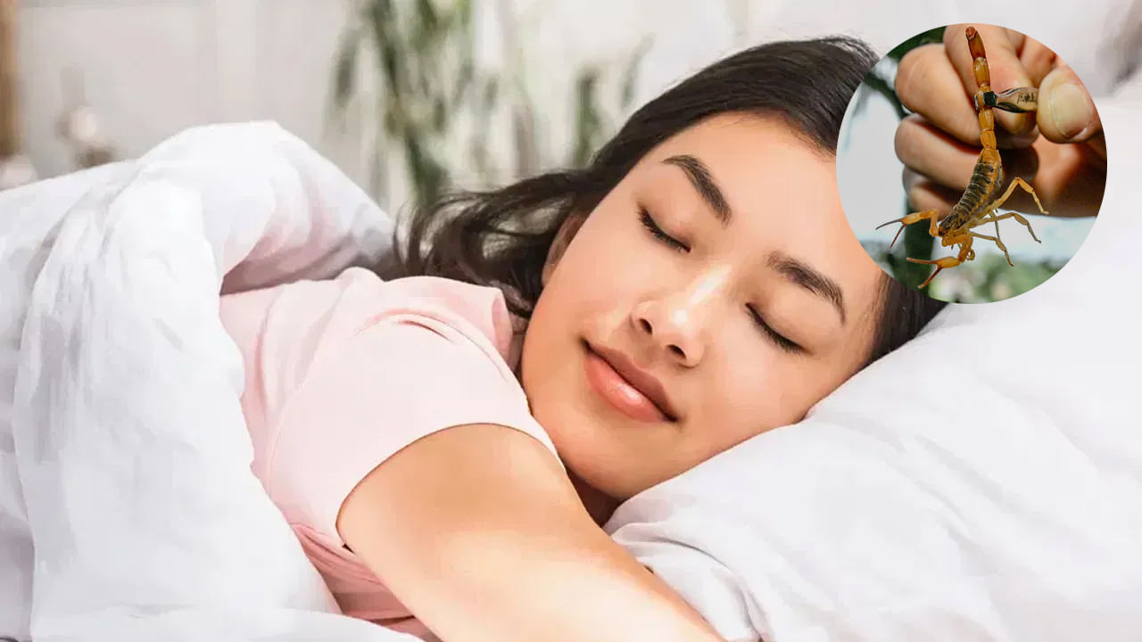 అదే మీకు తేలు కుట్టినట్టు.. మీరు ఏడుస్తూ బాధ పడుతున్నట్లు కల వస్తే మాత్రం మీకు అనుకోని సవాళ్లు ఎదురవుతాయని గుర్తు పెట్టుకోవాలి. మీకు భవిష్యత్తులో కష్టాలు ఎదురవుతాయని, మీకు బతుకు భారంగా ఉంటుందని, ఆర్థిక నష్టాలు ఎదుర్కొనాలని అర్థం.  