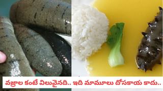 Goats: ఆహారం కోసం కాదు.. మేకలు చెట్లు ఎందుకు ఎక్కుతాయో తెలుసా? ఆశ్చర్యపరిచే నిజం!