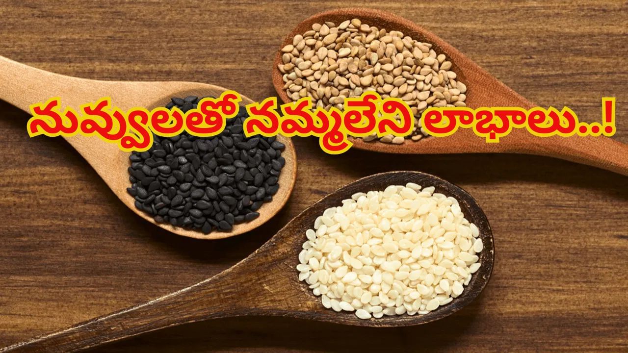 నువ్వులతో నమ్మలేని లాభాలు.. ఆరోగ్య ప్రయోజనాలు తెలిస్తే అవాక్కే..! – Telugu News | Top Health Benefits of Sesame Seeds Improve Digestion, Heart And Blood Sugar