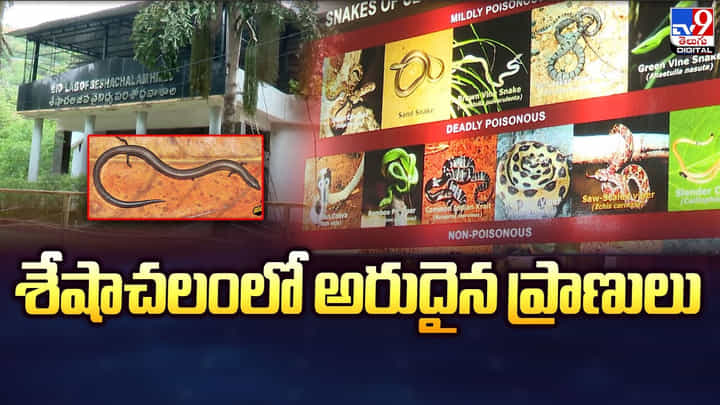 శేషాచలంలో అరుదైన ప్రాణులు శేషాచలంలో అరుదైన ప్రాణులు