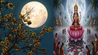 Feng Shui Butterfly: సీతాకోకచిలుక పెయింటింగ్ ను ఇంట్లో పెట్టుకుంటే ఎన్ని లాభాలో తెలుసా