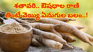 ఆపరేషన్ టైంలో డాక్టర్స్.. ఈ రంగు దుస్తులనే ఎందుకు ధరిస్తారో తెలుసా? అసలు కారణం ఇదే..