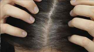 Butterfly Pea Flower: శివుడికి అత్యంత ఇష్టమైన ఈ పువ్వు.. ఆ రోగాలకు రామబాణం..!