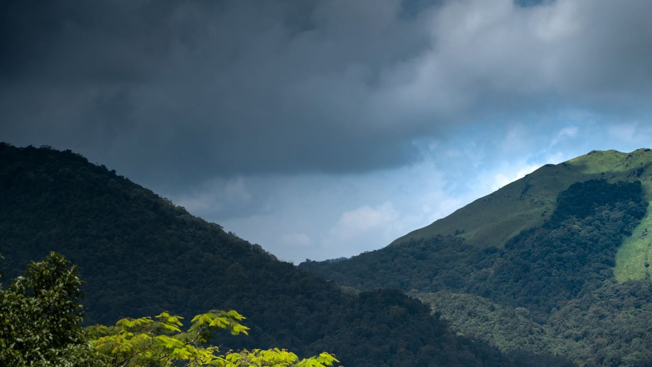 షోలా అడవులు – తమిళనాడు: నీలగిరి బయోస్పియర్ రిజర్వ్‌లో భాగమైన ఈ అడవులు పగటిపూట అద్భుతంగా, రాత్రిపూట భయంకరంగా ఉంటాయి. పాడుబడిన బ్రిటిష్ బంగ్లాల దగ్గర వెంటాడే కేకలు, పొగమంచులో అదృశ్యమవుతున్న తెల్లటి బొమ్మలు భయాన్ని కలిస్తాయి.