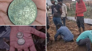 Video: నువ్వు దేవుడివి సామి.. ‘రెక్క మార్పిడి’తో సీతాకోకచిలుకకు పునర్జన్మ..