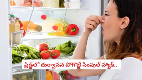 Fridge Hacks: ఫ్రిడ్జ్ తెరవగానే వాసన కొడుతోందా?.. చిన్న గిన్నెలో దీన్ని వేసి ఉంచండి
