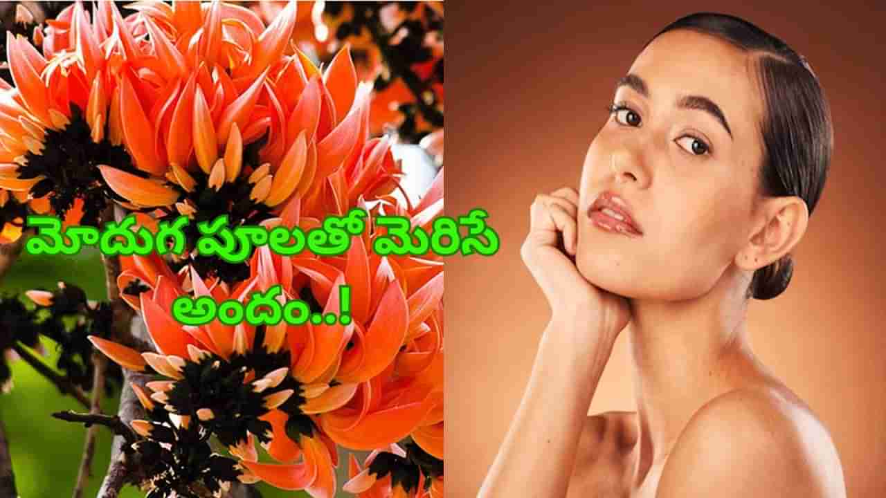 మోదుగ పూలతో మెరిసే అందం.. పండగపూట మీ ముఖంలో మరింత మెరుపు..!