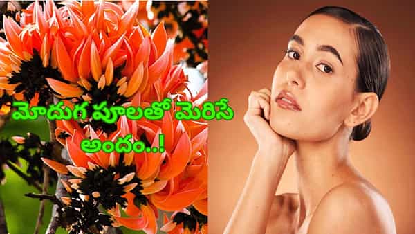 మోదుగ పూలతో మెరిసే అందం.. పండగపూట మీ ముఖంలో మరింత మెరుపు..!