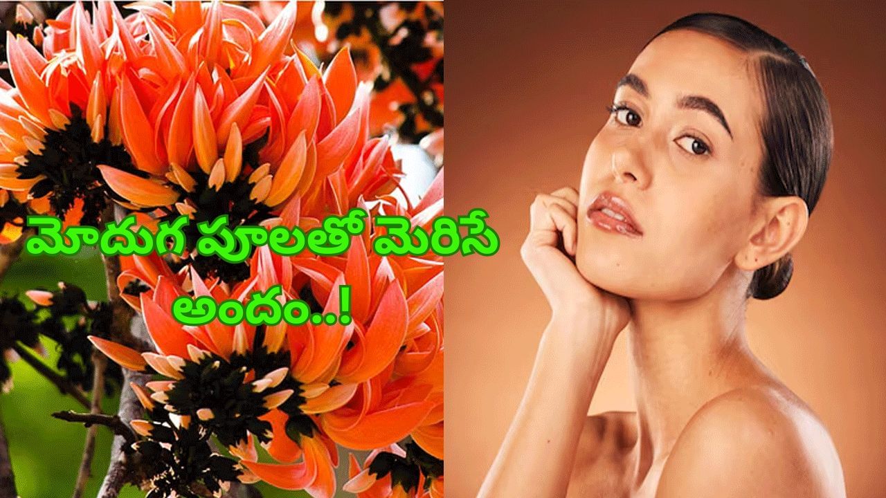 మోదుగ పూలతో మెరిసే అందం.. పండగపూట మీ ముఖంలో మరింత మెరుపు..!